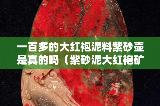 一百多的大紅袍泥料紫砂壺是真的嗎（紫砂泥大紅袍礦石簡介）