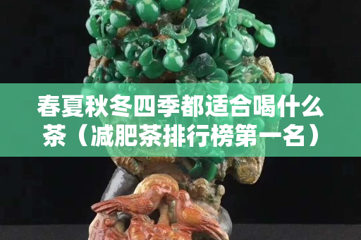 春夏秋冬四季都適合喝什么茶（減肥茶排行榜第一名）