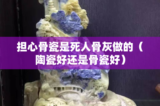 擔心骨瓷是死人骨灰做的（陶瓷好還是骨瓷好）