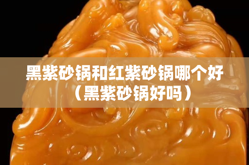 黑紫砂鍋和紅紫砂鍋哪個好（黑紫砂鍋好嗎）