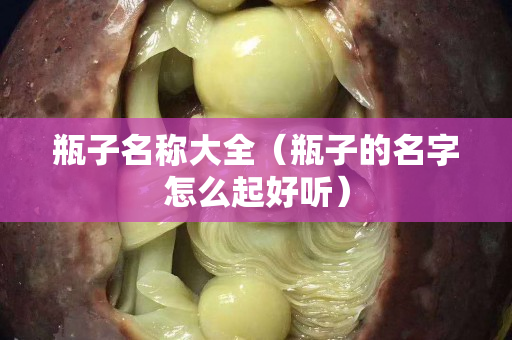 瓶子名稱大全（瓶子的名字怎么起好聽）