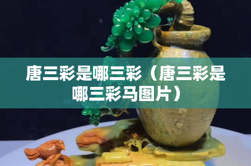唐三彩是哪三彩（唐三彩是哪三彩馬圖片）