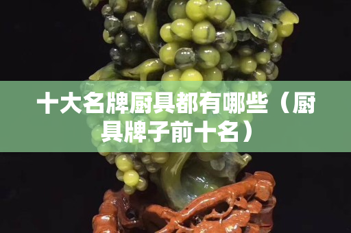 十大名牌廚具都有哪些（廚具牌子前十名）