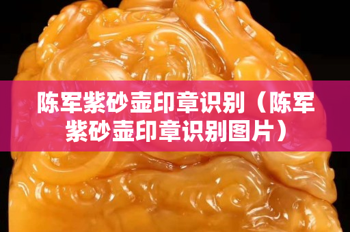 陳軍紫砂壺印章識(shí)別（陳軍紫砂壺印章識(shí)別圖片）