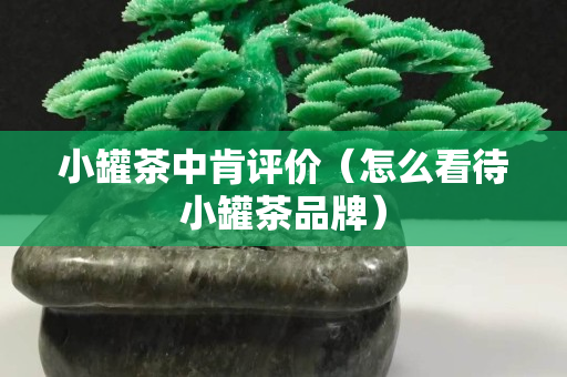 小罐茶中肯評價（怎么看待小罐茶品牌）