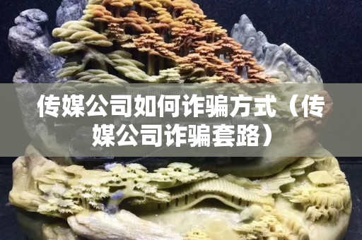 傳媒公司如何詐騙方式（傳媒公司詐騙套路）