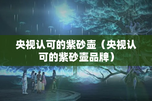 央視認可的紫砂壺（央視認可的紫砂壺品牌）