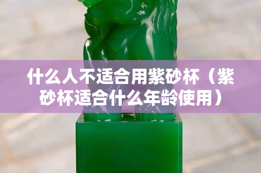 什么人不適合用紫砂杯（紫砂杯適合什么年齡使用）