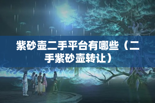 紫砂壺二手平臺有哪些（二手紫砂壺轉讓）