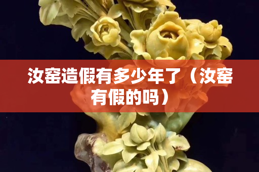 汝窯造假有多少年了（汝窯有假的嗎）
