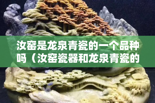 汝窯是龍泉青瓷的一個品種嗎（汝窯瓷器和龍泉青瓷的區別）