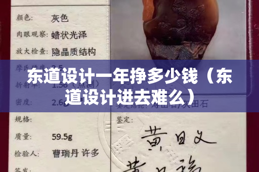 東道設計一年掙多少錢（東道設計進去難么）