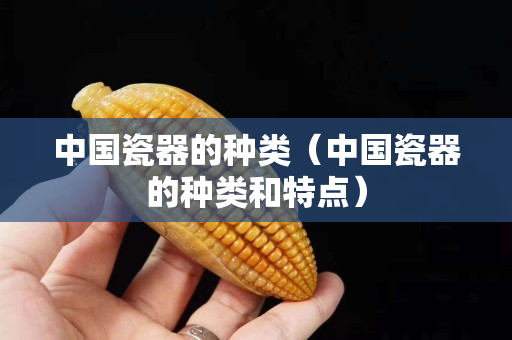 中國瓷器的種類（中國瓷器的種類和特點）
