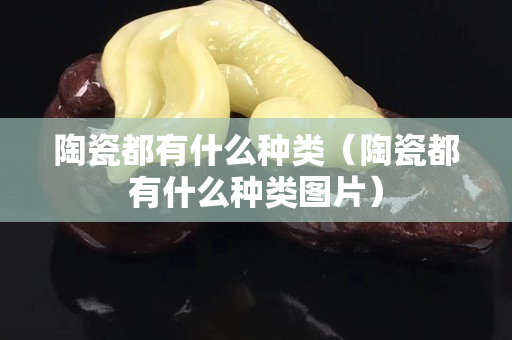 陶瓷都有什么種類（陶瓷都有什么種類圖片）