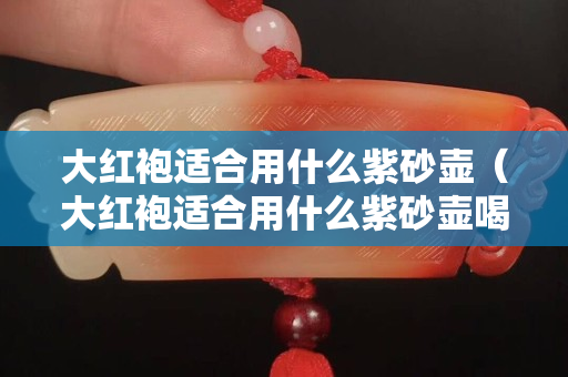 大紅袍適合用什么紫砂壺（大紅袍適合用什么紫砂壺喝）