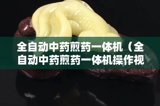 全自動中藥煎藥一體機（全自動中藥煎藥一體機操作視頻）