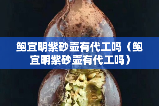 鮑宜明紫砂壺有代工嗎（鮑宜明紫砂壺有代工嗎）