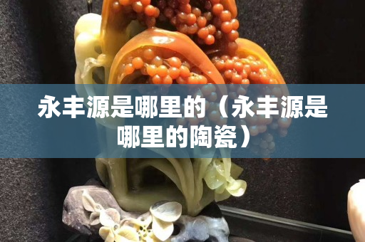 永豐源是哪里的（永豐源是哪里的陶瓷）