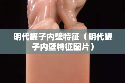 明代罐子內壁特征（明代罐子內壁特征圖片）