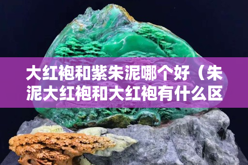 大紅袍和紫朱泥哪個好（朱泥大紅袍和大紅袍有什么區(qū)別）