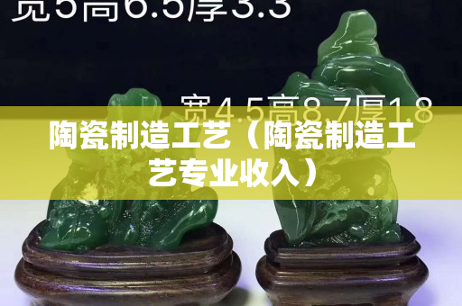 陶瓷制造工藝（陶瓷制造工藝專業收入）