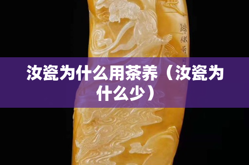 汝瓷為什么用茶養(yǎng)（汝瓷為什么少）