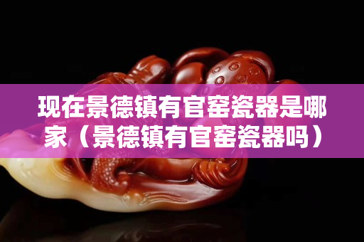 現(xiàn)在景德鎮(zhèn)有官窯瓷器是哪家（景德鎮(zhèn)有官窯瓷器嗎）