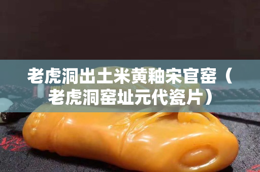 老虎洞出土米黃釉宋官窯（老虎洞窯址元代瓷片）