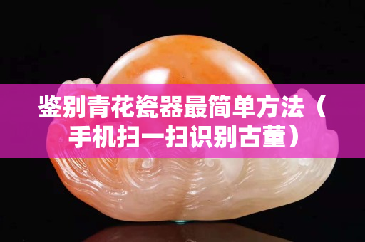 鑒別青花瓷器最簡單方法（手機掃一掃識別古董）