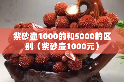紫砂壺1000的和5000的區別（紫砂壺1000元）