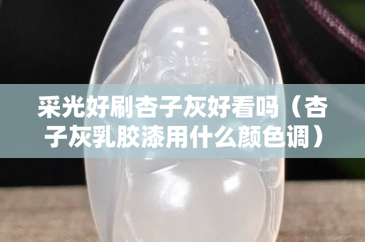 采光好刷杏子灰好看嗎（杏子灰乳膠漆用什么顏色調）
