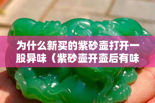 為什么新買的紫砂壺打開一股異味（紫砂壺開壺后有味道）