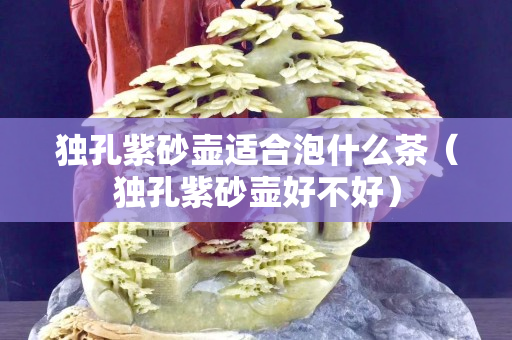 獨孔紫砂壺適合泡什么茶（獨孔紫砂壺好不好）