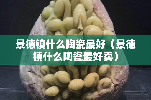景德鎮(zhèn)什么陶瓷最好（景德鎮(zhèn)什么陶瓷最好賣）