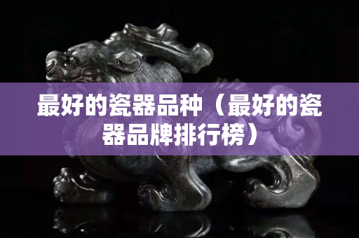 最好的瓷器品種（最好的瓷器品牌排行榜）