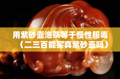 用紫砂壺泡茶等于慢性服毒（二三百能買真紫砂壺嗎）