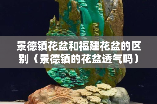 景德鎮(zhèn)花盆和福建花盆的區(qū)別（景德鎮(zhèn)的花盆透氣嗎）