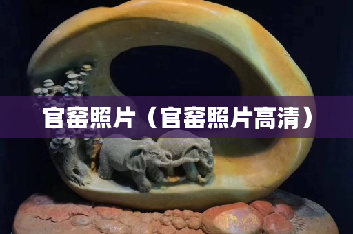 官窯照片（官窯照片高清）