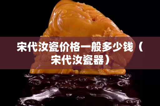 宋代汝瓷價格一般多少錢（宋代汝瓷器）