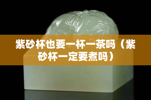 紫砂杯也要一杯一茶嗎（紫砂杯一定要煮嗎）