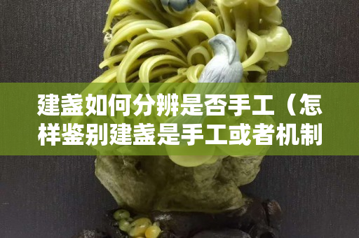 建盞如何分辨是否手工（怎樣鑒別建盞是手工或者機制）
