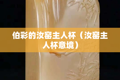 伯彩的汝窯主人杯（汝窯主人杯意境）