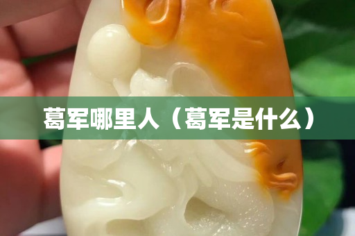 葛軍哪里人（葛軍是什么）