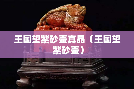 王國望紫砂壺真品（王國望 紫砂壺）