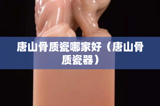 唐山骨質瓷哪家好（唐山骨質瓷器）