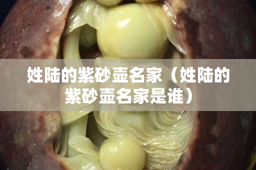 姓陸的紫砂壺名家（姓陸的紫砂壺名家是誰）