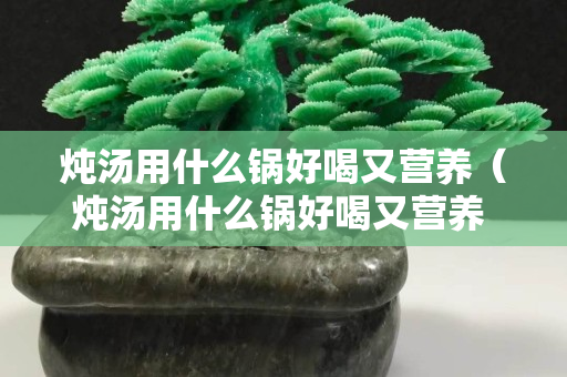 燉湯用什么鍋好喝又營養（燉湯用什么鍋好喝又營養 又快熟）