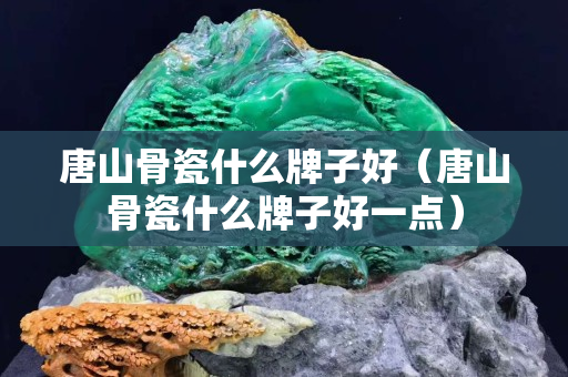 唐山骨瓷什么牌子好（唐山骨瓷什么牌子好一點）