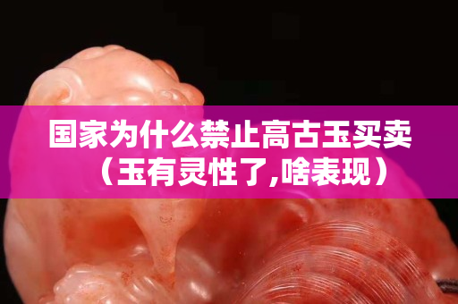 國(guó)家為什么禁止高古玉買賣（玉有靈性了,啥表現(xiàn)）