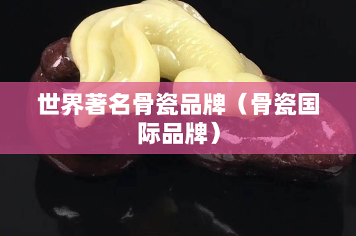 世界著名骨瓷品牌（骨瓷國際品牌）